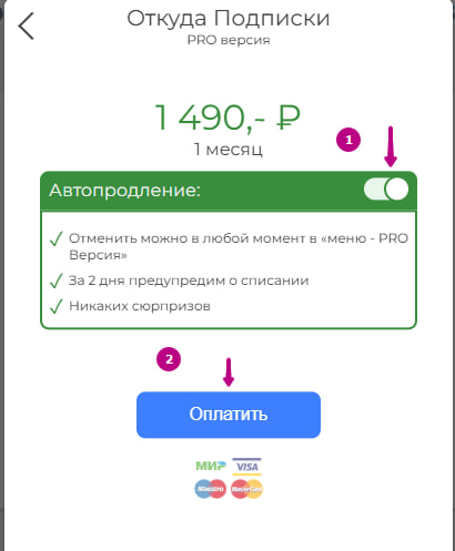 Отправка команды /ref в чат с ботом