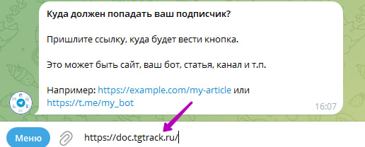 Пользователь вводит целевую ссылку для перенаправления