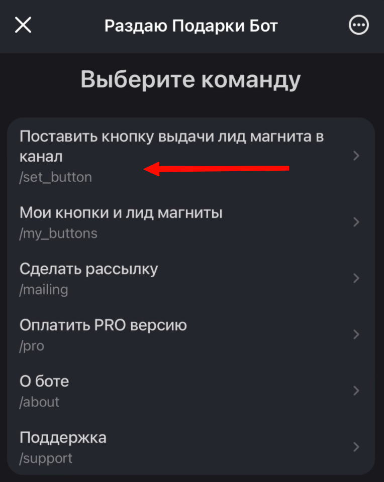 Меню бота — установить кнопку лид магнита